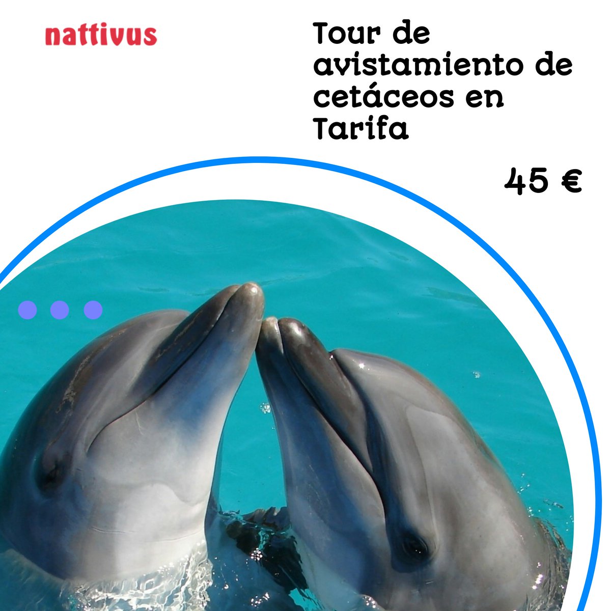 NattivusExp's tweet photo. ¿Listo para una experiencia inolvidable de avistamiento de cetáceos en Tarifa? Aprende sobre los mejores momentos para verlos y  garantizar un encuentro memorable. https://t.co/SM8PYX0f8M

#tarifa #cetaceos #viajesconestilo https://t.co/44gKPXcZi6