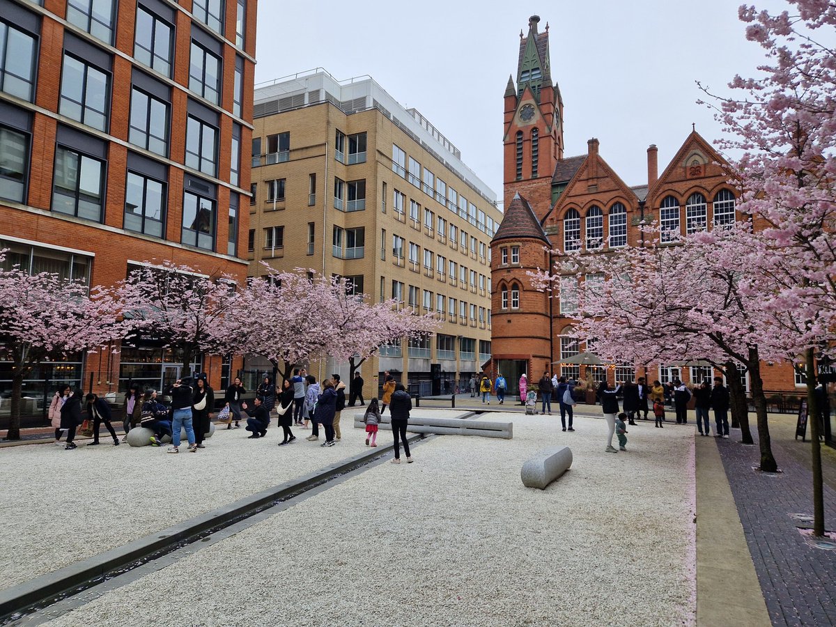 A relaxing way to spend a Sunday afternoon in @Brindleyplace at @BCMG Cherry Blossom Concert there's still a few flowers if you look carefully! (photo from last week when it was in full boom). @ikongallery @ace_midlands