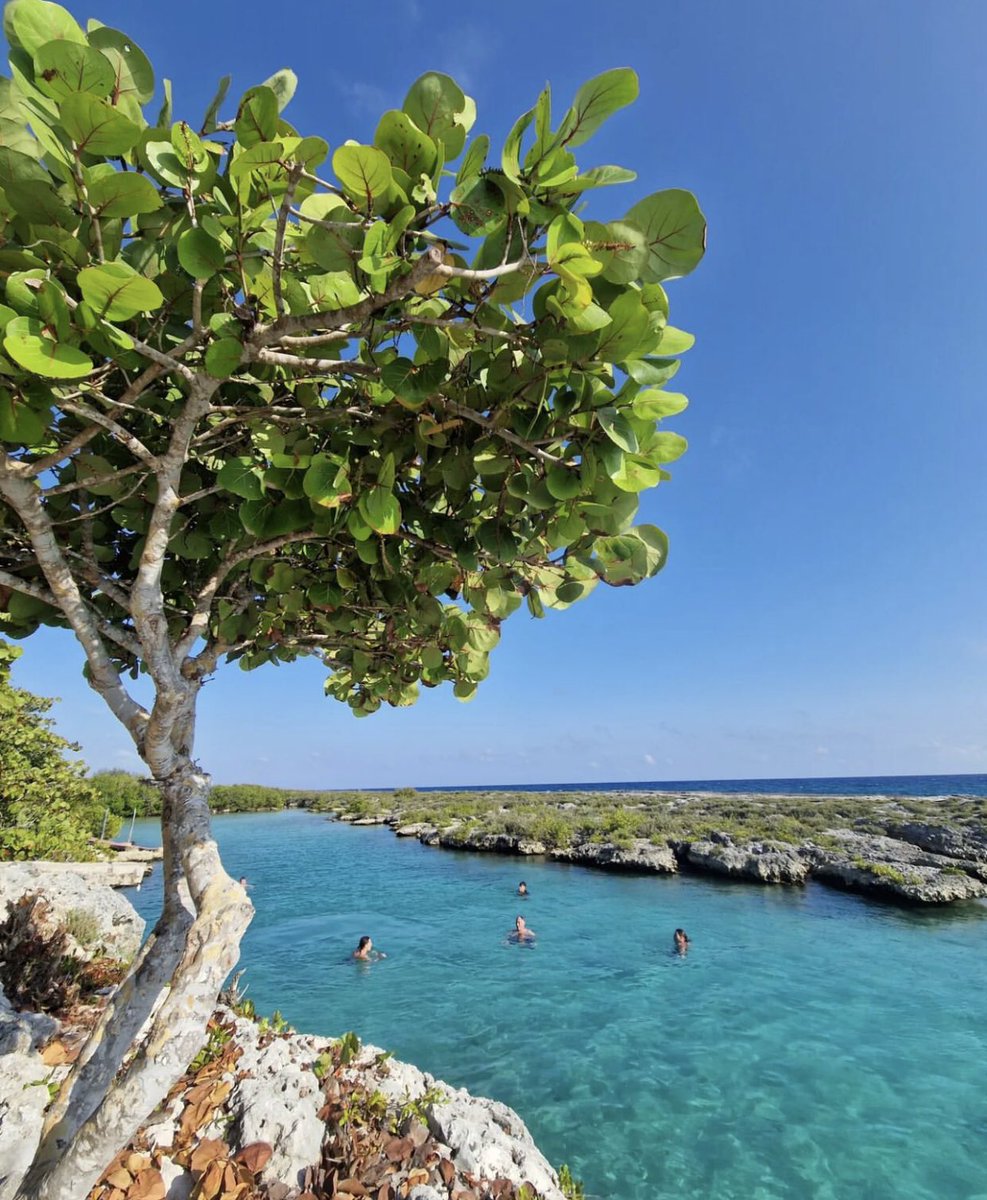 A solo 2 horas de #Varadero, nos cautiva la belleza de Playa Girón 🤩. 

📸 @mandyka67 

 #BahiadeCochinos #Cubatravel