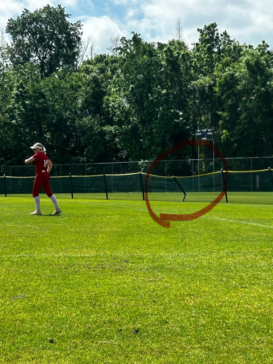 TaylorSher10's tweet photo. Ever eat a fence for lunch!?! #effort #outfielder #guts @CoastRecruits @SoftballDown @FastpitchAthRec  @SBRRetweets @softball https://t.co/6UAtUpiR2e