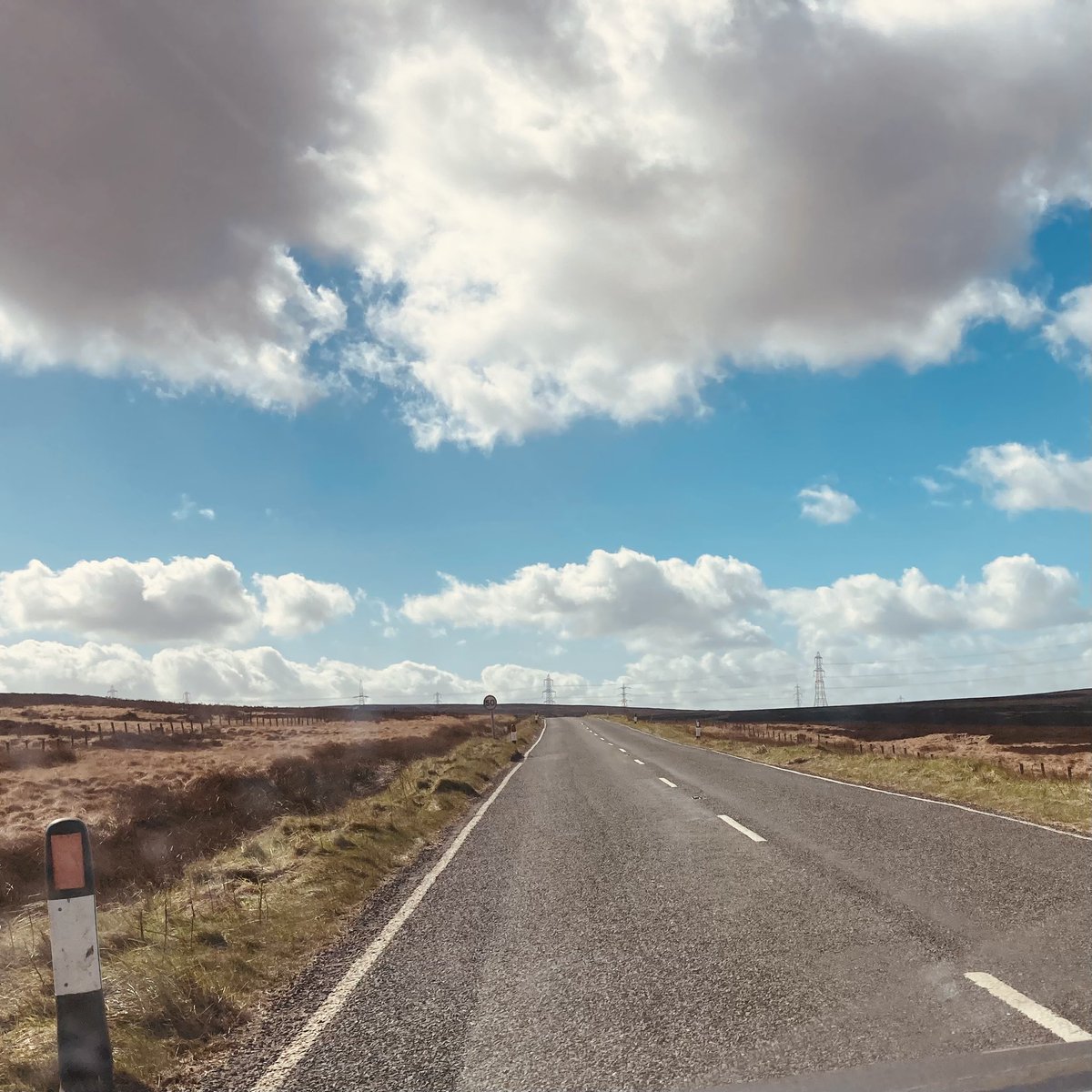 Oisin Leech tweet media