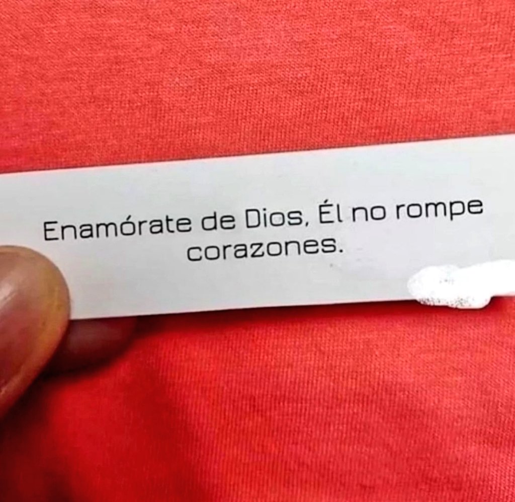 bibliainlinea's tweet image. 