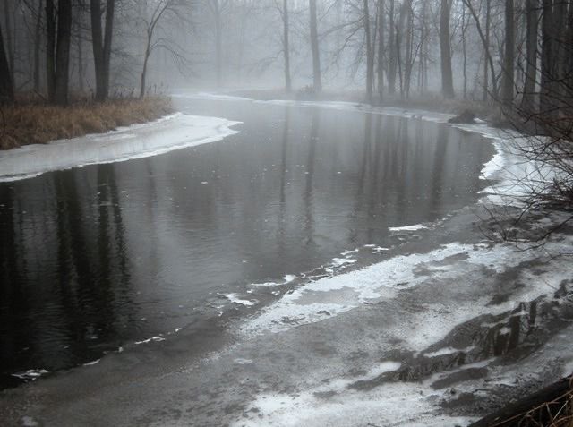 lacrymarias's tweet image. 