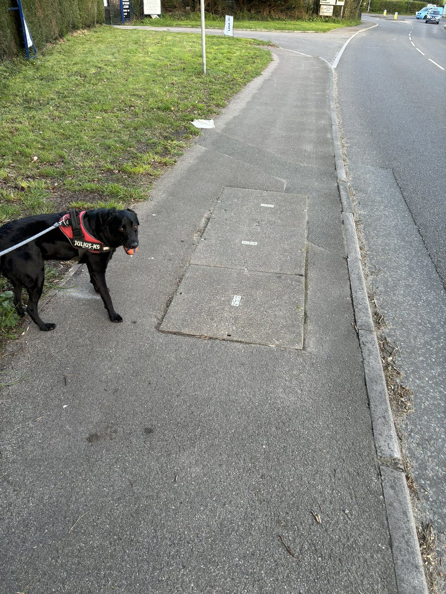 Stan Deadman tweet media