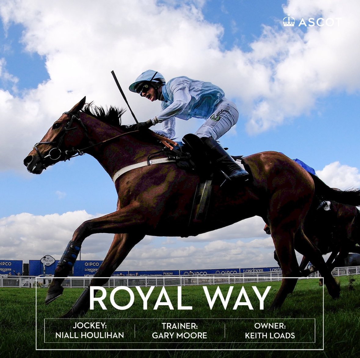 🎯Royal Way (@HarasColleville Galiway) takes the Juvenile Hd Hurdle @Ascot for @gl_racing and Keith Loads @niall_houli He is now 3/3 in 2024 🥂 🇫🇷purchase from Mathieu Pitart. Congratulations 👏