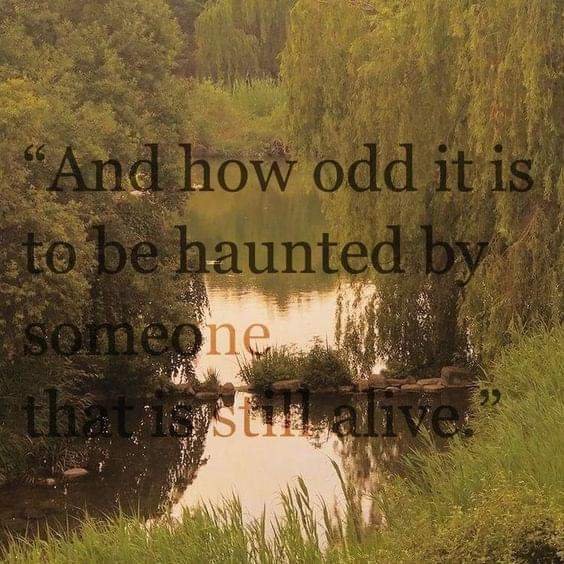 #poetry #poems #haunted #sad #sadquotes