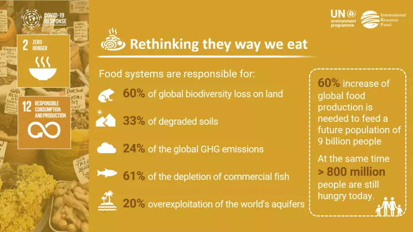 Where we live, how we travel and what we eat all have an impact on our planet. 🌎🚲🥣 In 4 infographics, @unepirp shows how rethinking the way we live can make a difference #ForNature, climate and people. Learn more via @wef: bit.ly/3kqJsBS