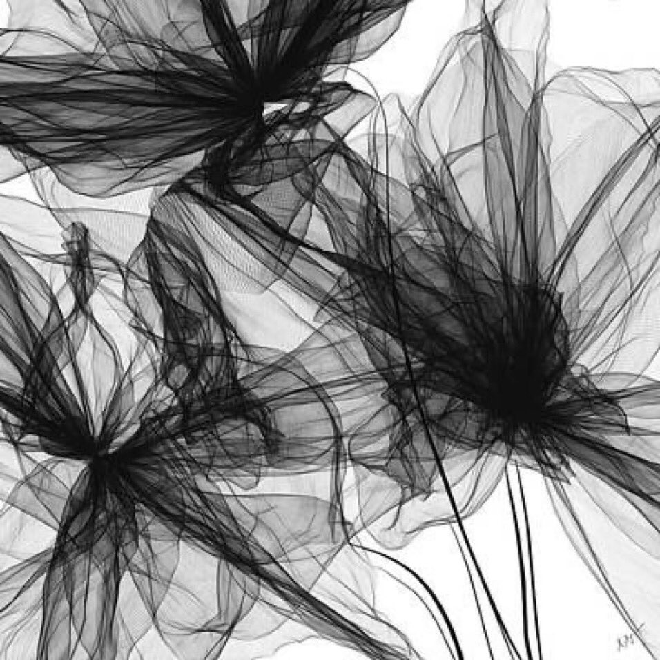 web of emotions patterned in painful purpose behind a resilient veil — a prelude to authentic beauty before chaotic splendor is revealed #OnePicPoetry [Art: Lourry Legarde]