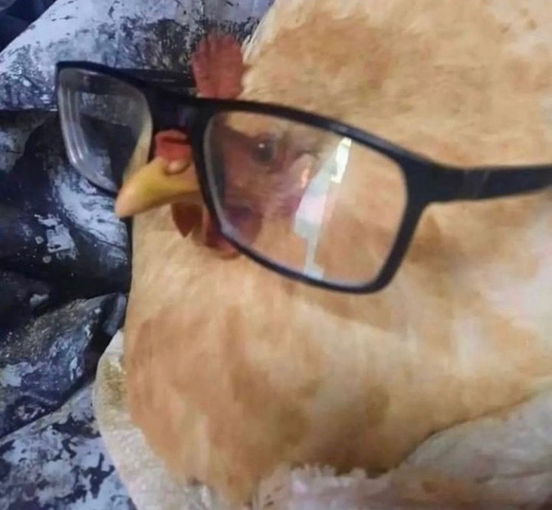 altın mı alsam hisse mi alsam hmmmm hmmmm düşün düşünnnn