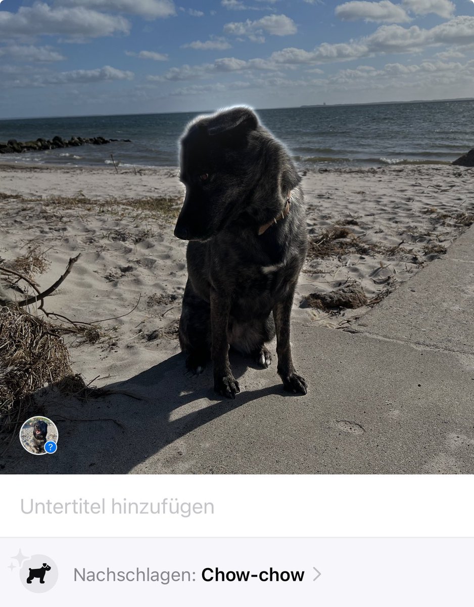 Emmi_v_d_Ostsee tweet picture