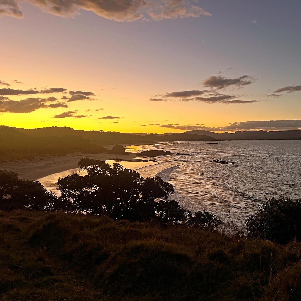 Kia Ora! We had such a wonderful adventure in #NewZealand, grabbing a couple of days of R&R after @womadNZ before heading home 🙏🏽 now back to work as we gear up for @ziggymarley’s #CircleOfPeace summer tour! Cheers 🤙🏽 🏡 @touchofspicenz