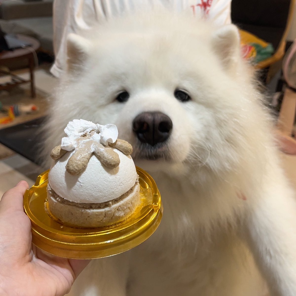 น่ากินจางง 🧁