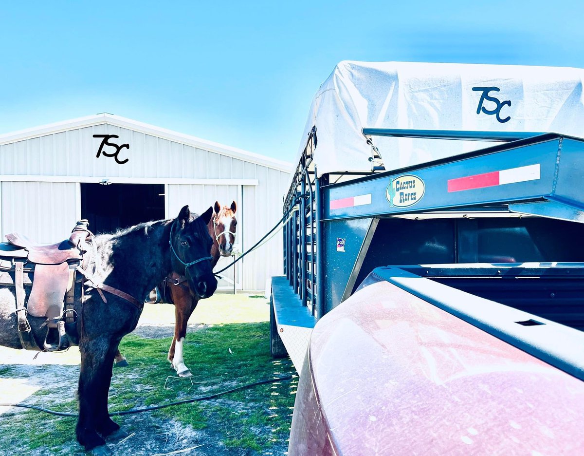 Let's GO!! 
.
.
.
.
.
.
#7ScRanch #equine
#bovine #horses #cow
#texas #farmlife #ranchlife
#justranchin #stayhandy