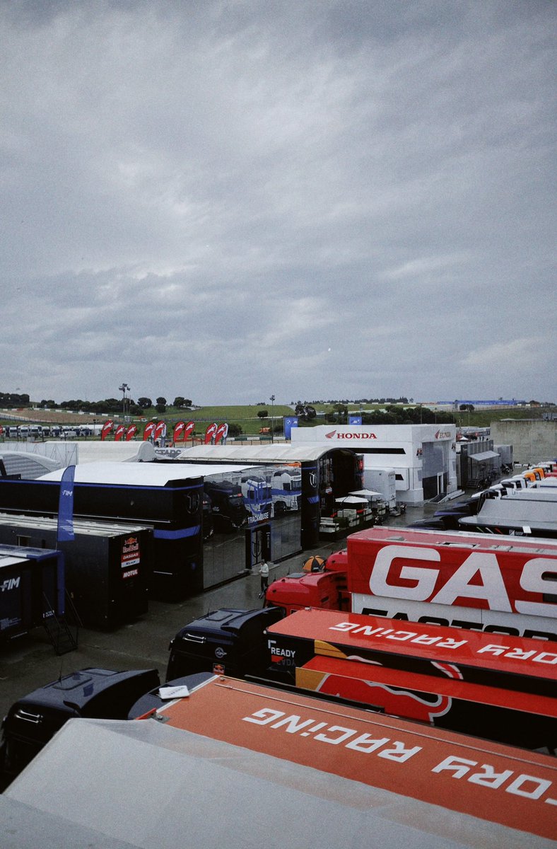 Sofie 🌻 tweet media