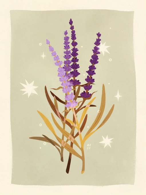 「purple flower still life」 illustration images(Latest)