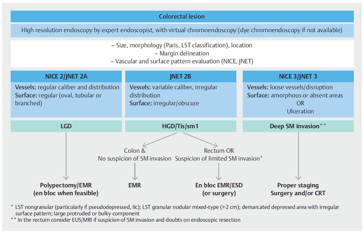 🔵 #ColorectalCancerAwarenessMonth 2️⃣0️⃣2️⃣4️⃣

🤔💭 Decision #algorithm for superficial #colorectal lesions:
⬇️⬇️⬇️
📘 check #ESGE #guideline in @endoscopyjrnl 
👉tinyurl.com/jsff3n8x

@ESGE_news @my_ueg
@ThiemeIntl @OncoAlert @myESMO @oncodaily
#GITwitter #MedEd #endoscopy 🔵