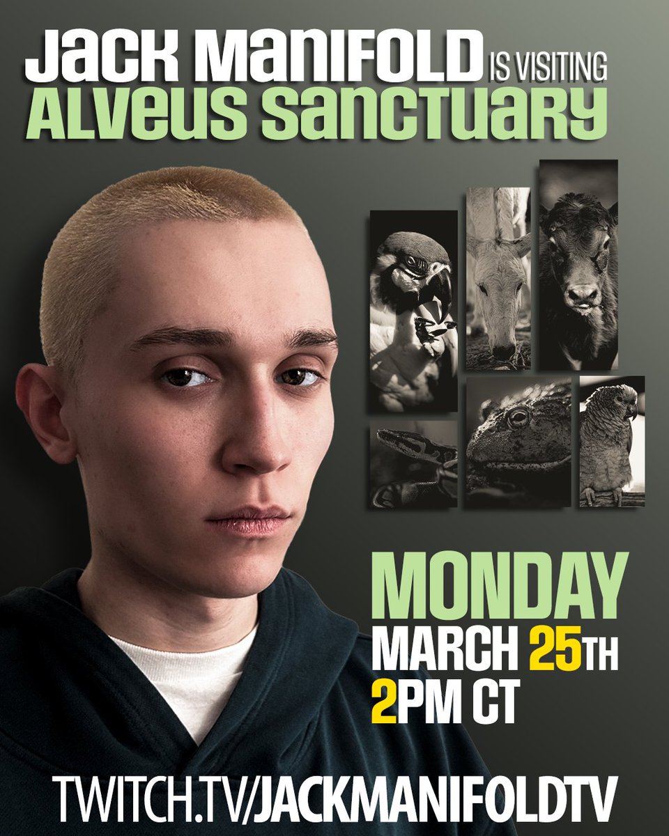 Guess who's back @JackManifoldTV will be live from Alveus TOMORROW! March 25th @ 2pm CT on twitch.tv/jackmanifoldtv