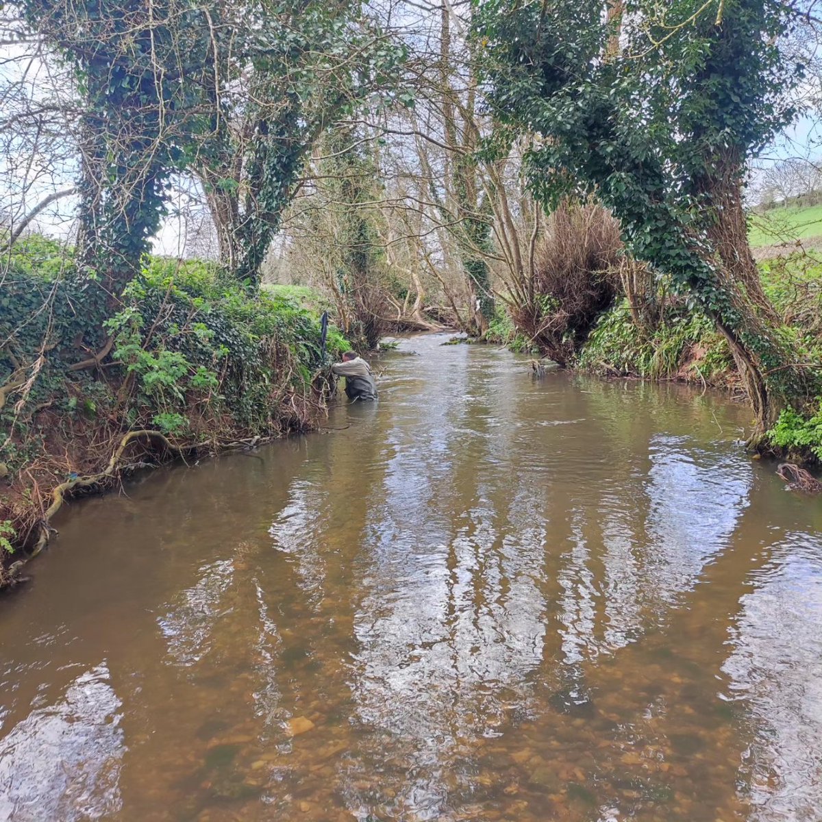 A great work party on the brook today. #flyfishing #guidedfishing #flyfishinglessons #flyfishinglife #flycasting #trout #browntrout #rainbowtrout #grayling #onthefly #flyfishingnation #outsidedays #salmon #seatrout #dryfly #nymph #Snowbee #flyfishinglife #river #stream #lake