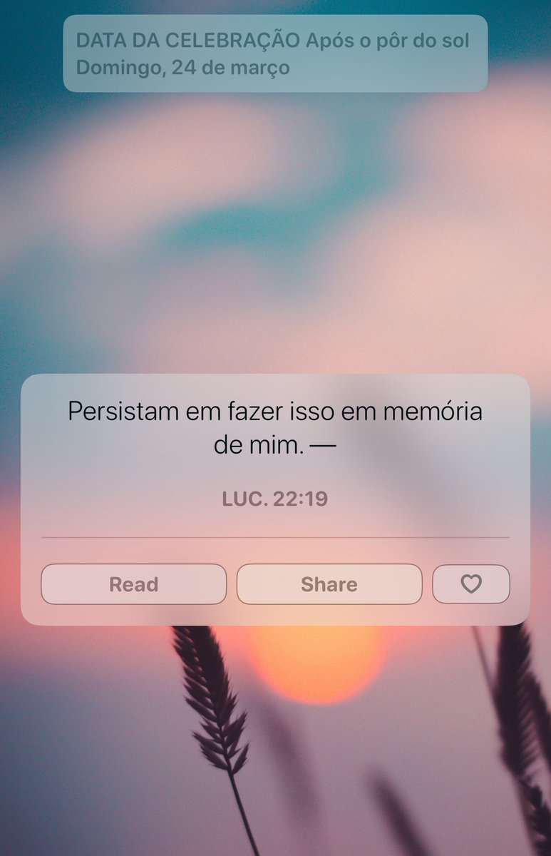 Cris Alves(TIM BETA) (@crisalvesvip) on Twitter photo 