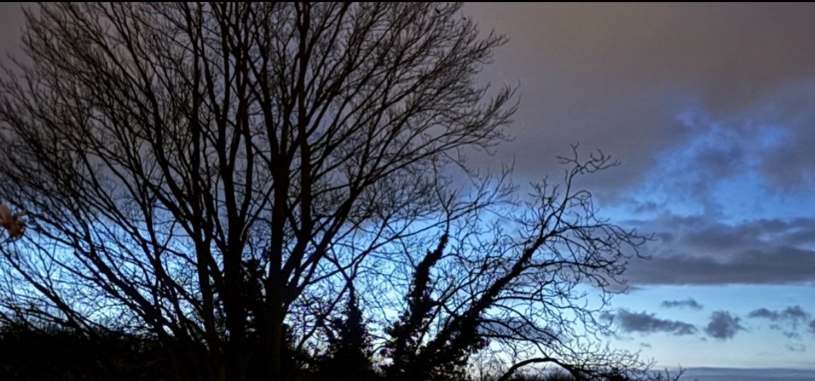 Anja (@bcsinclair) on Twitter photo 