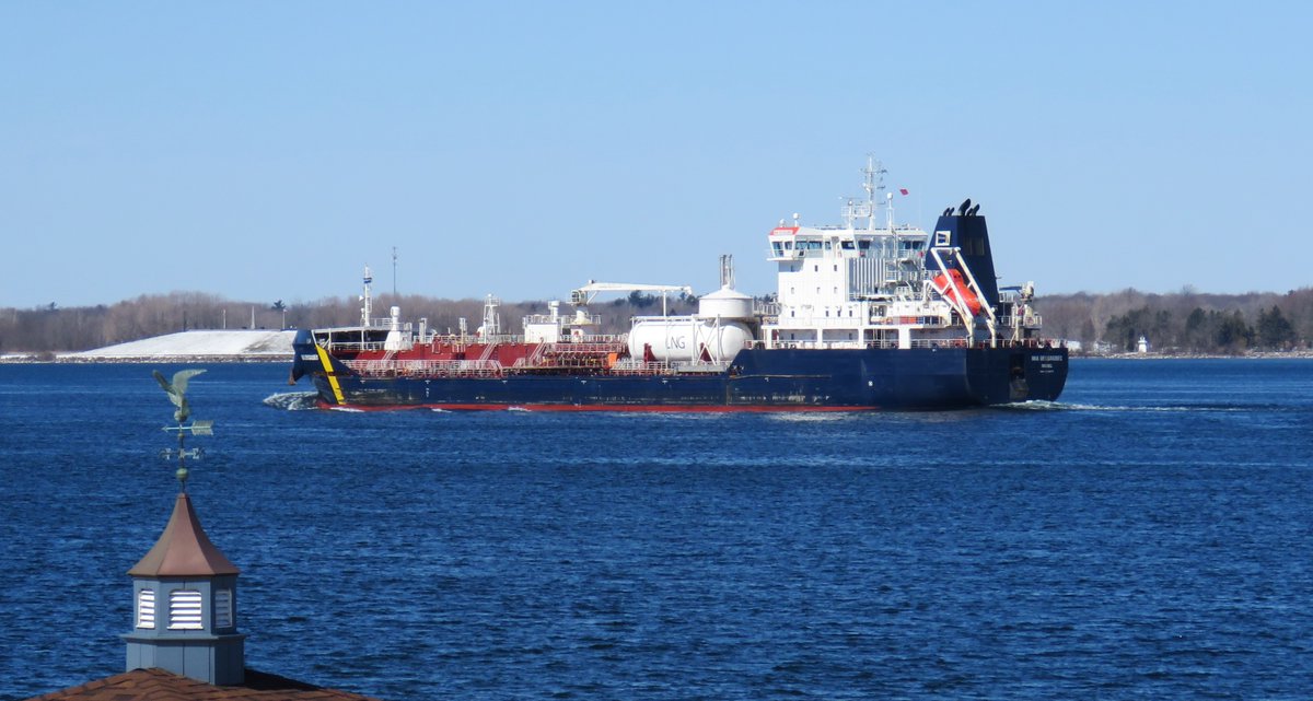 SeawayNNY⚓ tweet media