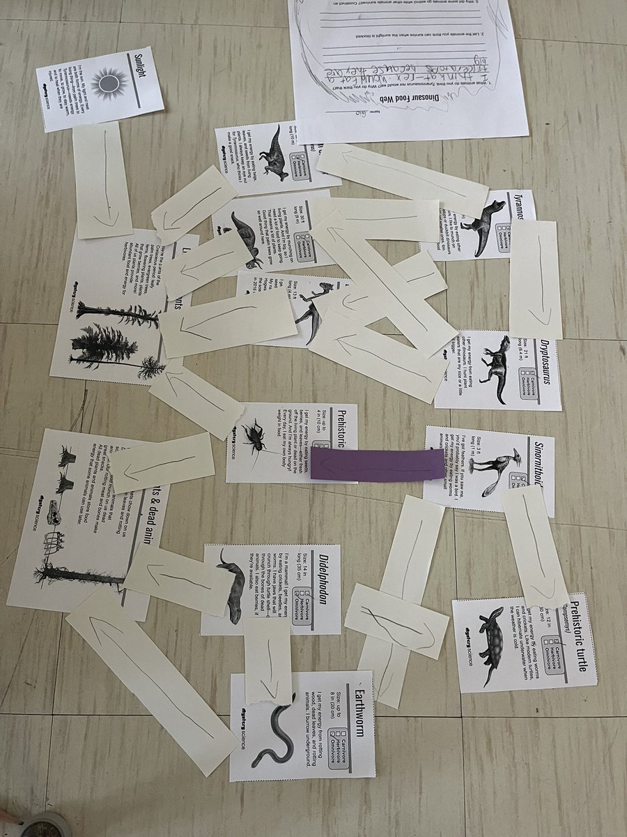 Creating food webs to understand what happened to the dinosaurs when the sun was blocked ☀️🦖🦕🌴 <a href="/FSDVikings/">Farmingdale School</a>