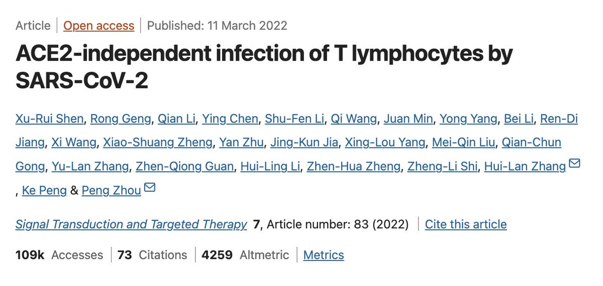 fitterhappierAJ's tweet photo. Every time something new comes out about some feature of the virus that causes a problem, like the impairment of cognition subsequent to mild disease, the people who argued for herd immunity by infection have a reflexive attack on those who believe it is best to avoid infection

Lately, it has been the accusation that the immunological harms of Covid are not rooted in fact or evidence, but are rather a cult-like belief

This is immensely fascinating, because a cult would balk and deflect when its belief systems are challenged. A cult would exhibit blindness to the new information. Refusal would be necessary for the cult to continue.

Many people rely on Marc Veldhoen for an immunological account of the effect of SARS Cov 2. Unfortunately, his account does not, absolutely refuses to incorporate, the findings of several papers.

What is even more telling about his refusal to acknowledge that T cells are infected by SARS Cov 2 is that he believes since his lab could not reproduce it, it could not exist. He believes he has the final say about the finding's invalidity. This is supreme arrogance in divestment of scientific practice. Dare I say it is religion where his lab has godhood.

Beware of the immunological interpretations of individuals who refuse to accept the findings of several papers; that sars cov 2 infects T cells

It is published in Nature family, elife, Gastroenterology, and elsewhere.
https://t.co/avhI7VUPmE