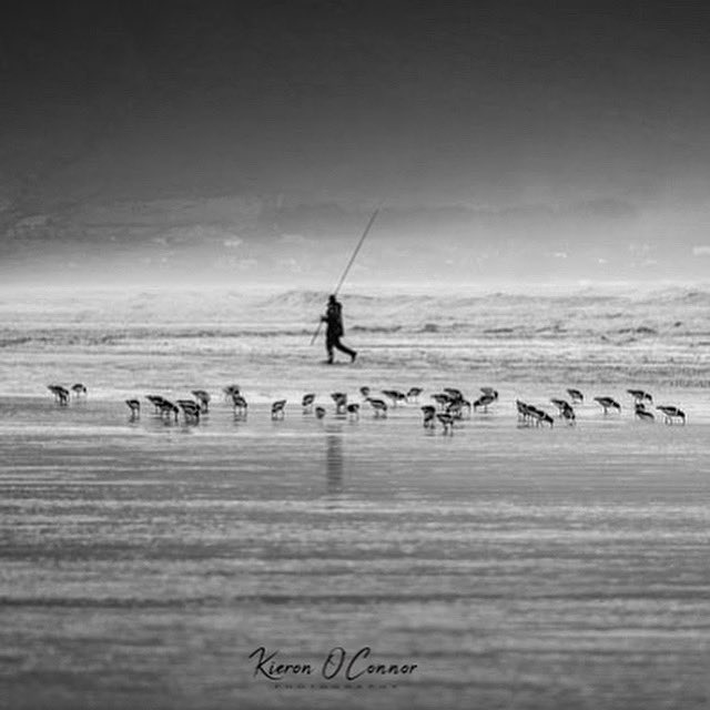 Inch Beach . Co. Kerry ☘️ #inchbeach #kerry #irish #ireland🍀 #gallery #cruise