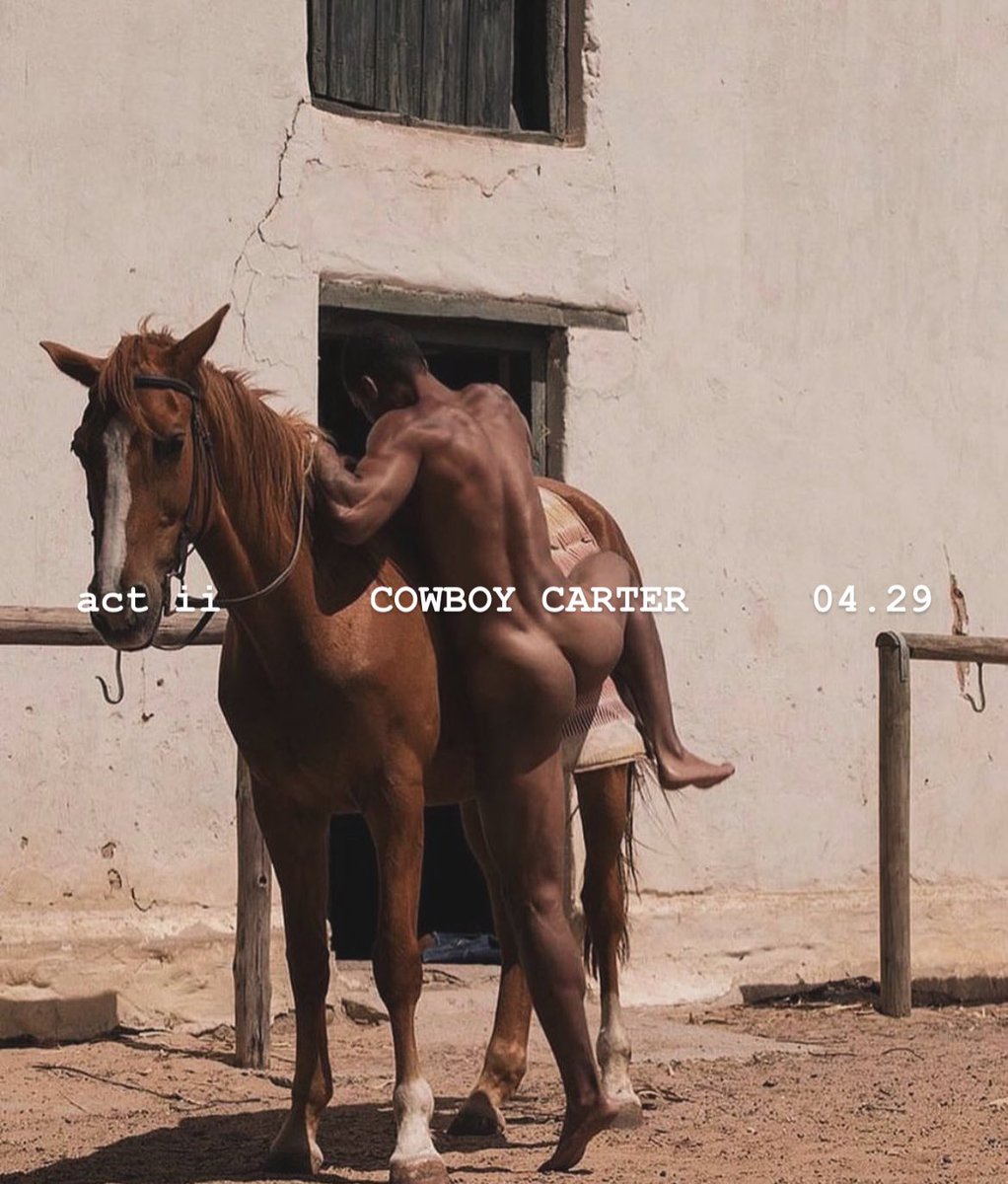 CUFF IT CARTER 𐚁 tweet media