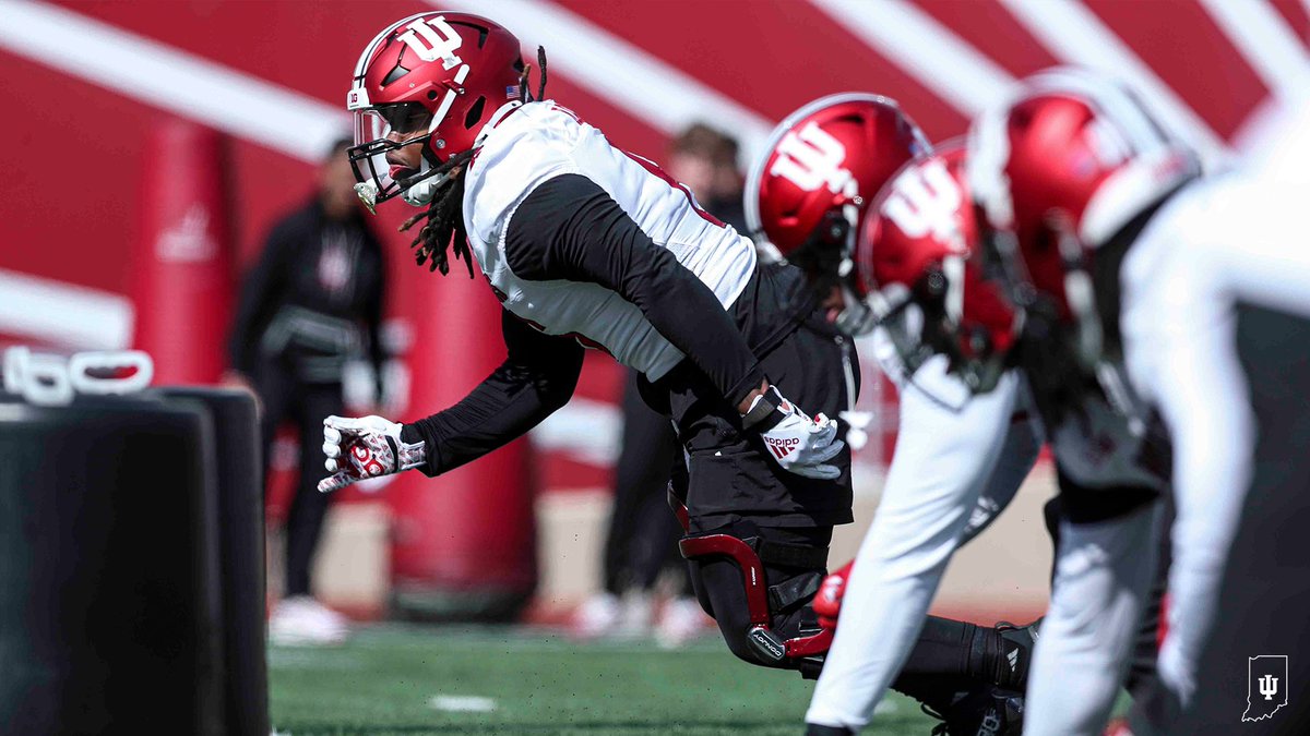 Views from Spring Ball. 📸