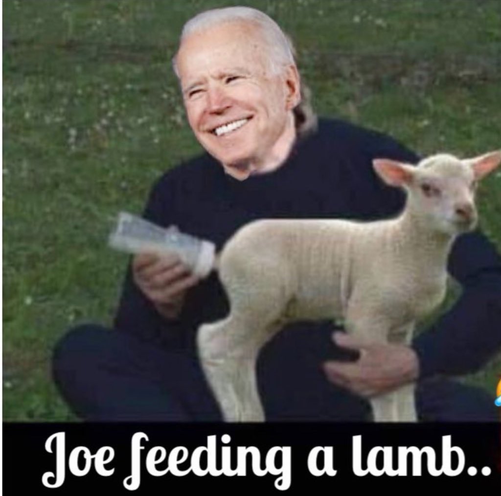 <a href="/ChuckCallesto/">Chuck Callesto</a> Aliens: take me to your leader
Us: OK