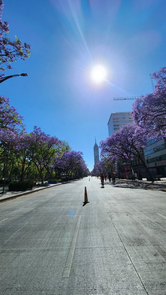 Si tienen oportunidad de disfrutar la primavera en bici, o cualquier otro no motorizado, aprovechenla