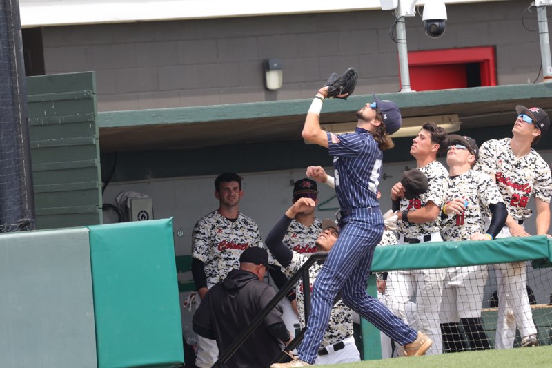 New Orleans Baseball tweet media
