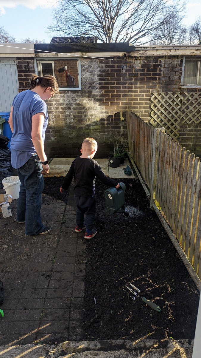 Veggie patch is go!