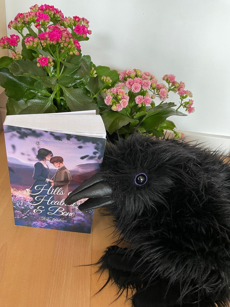 So here we are again, Fenwick and I, giving you today my review of Hills of Heather and Bone by @KEAndrews95.

goodreads.com/review/show/58…

#InquisitiveRaven
#SPFBO9