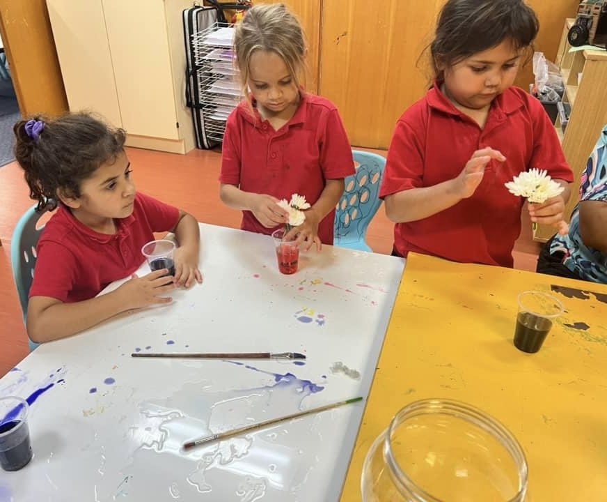 Murat Dizdar tweet media