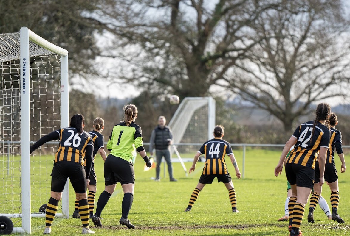 !FORTRESS @ChapelGateBU ! Victory in the final home game for the First Team today completes an unbeaten home campaign in the @SthRgnWFL at @ChapelGateBU 🦁🖤💛 P8 - W7 - D1 - GF 30 - GA 6 #upthesports @swsportsnews @firmitude @HeatwavePrint @All_Hail_Ale @MicroNav