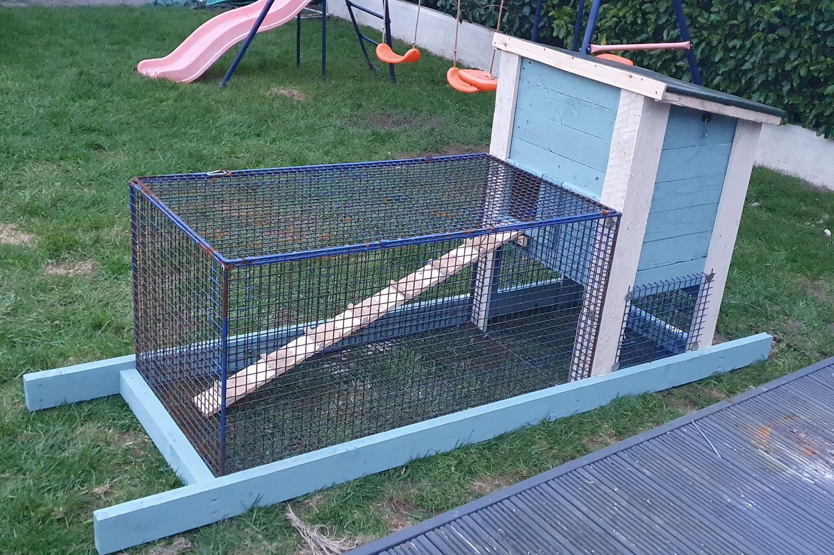 RobPentrefelin's tweet photo. Back in the game 🤣🤣. 100% recycled as I always did.
🐔 arriving this week.
#backyardchickens #hens #thegoodlife #growyourown #chickens https://t.co/i6Pnt3HTSw