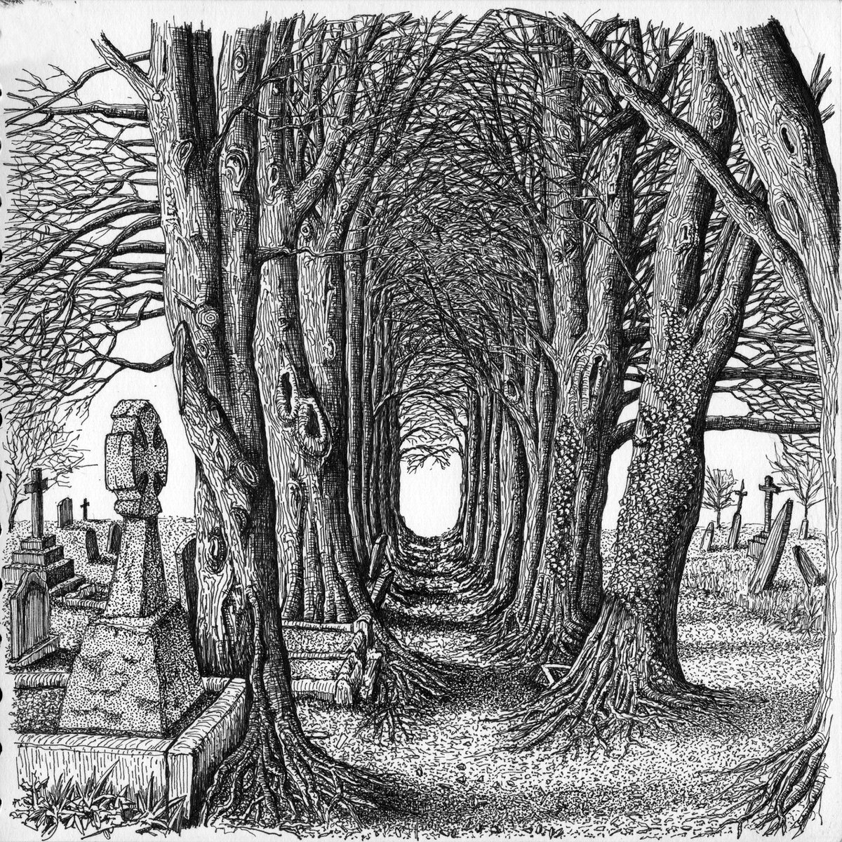 Phil Irons tweet media