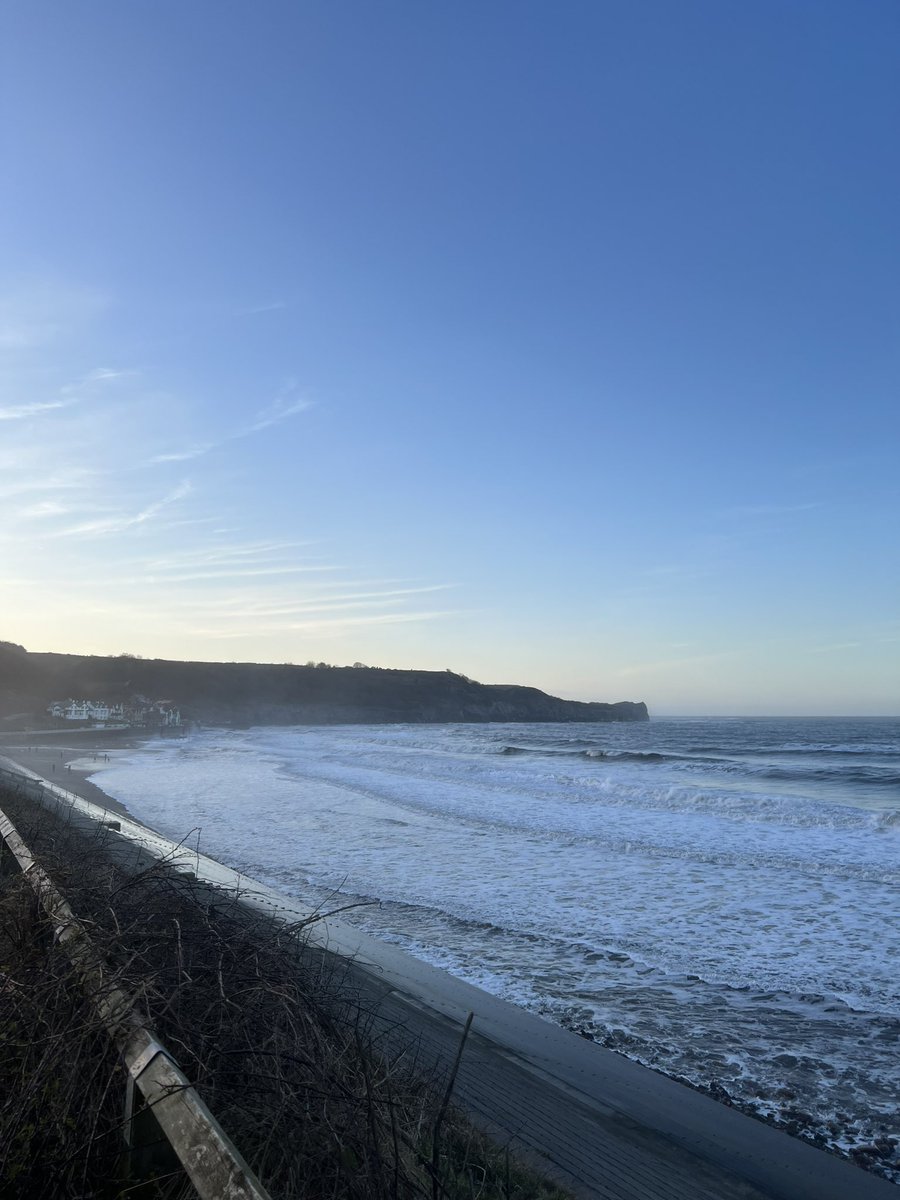 Natalie Lees tweet media