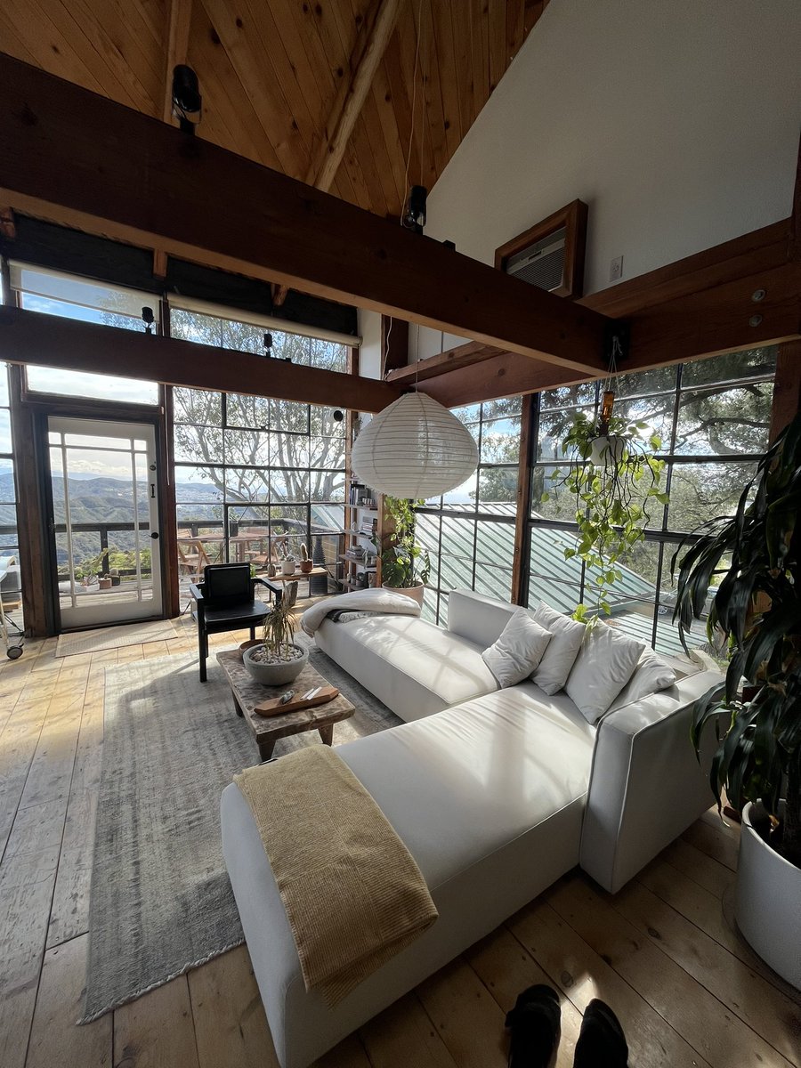 morgan young tweet media