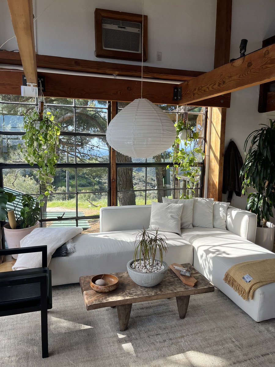 morgan young tweet media