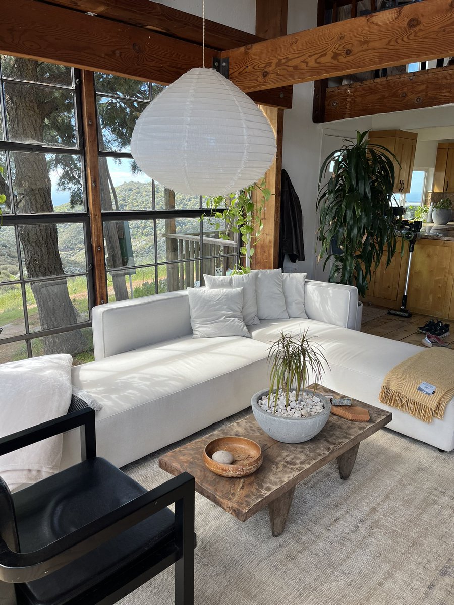 morgan young tweet media