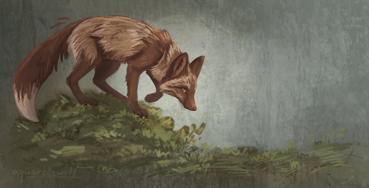 🌿✨

#aquarellewolf #fox #moss #foxart #animalartist