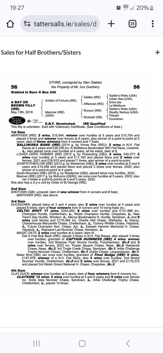 dower_house's tweet image. Mary stanford wins as she likes on debut today. @irishp2p @grangestud