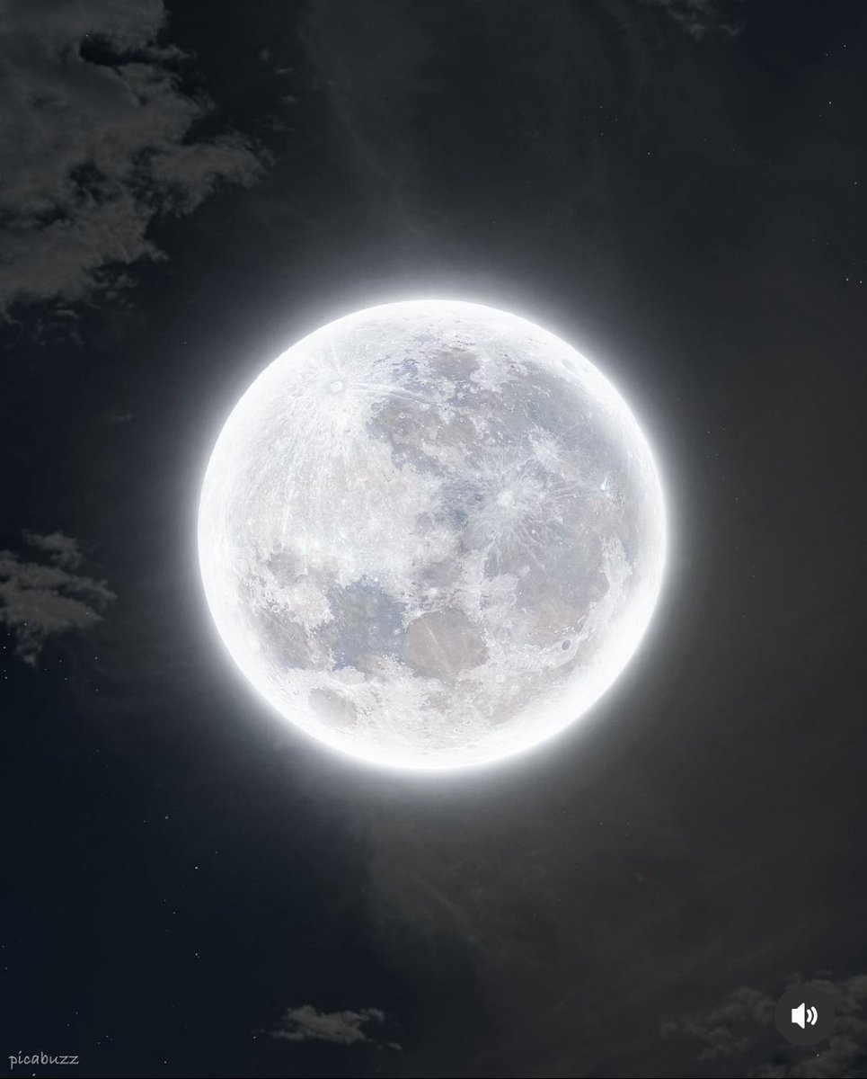 MOON LOVER tweet media