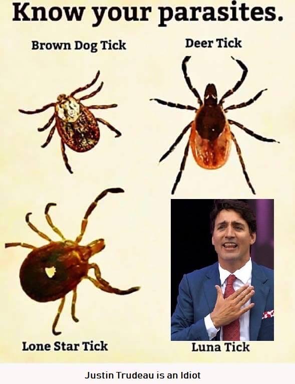 Calvin Wood (@calvinwood12) on Twitter photo 