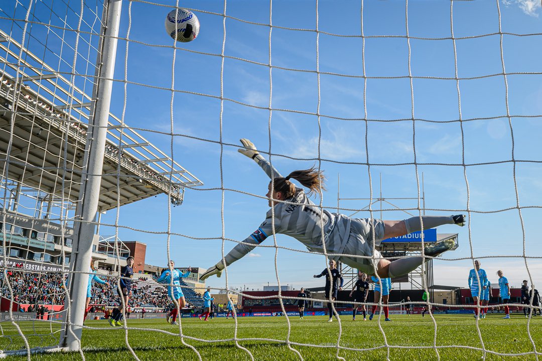 danielbartel tweet media