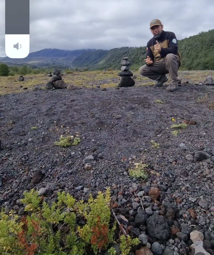 Un guarda parque de CONAF (Villarica) tuvo que hacer un video para que los hippies dejen de hacer esas estructuras 🤦🏻‍♂️