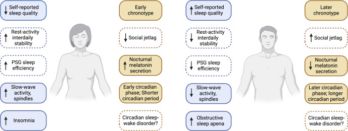 Sex differences in sleep, circadian rhythms, and metabolism: Implications for precision medicine
sciencedirect.com/science/articl…